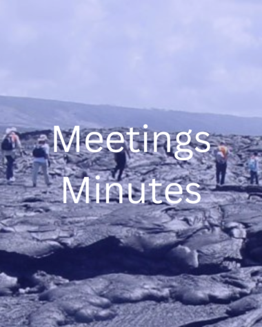Meeting Minutes